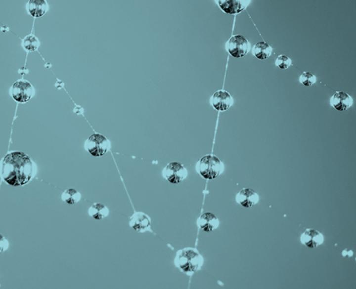 banner - Cornet COllective Research NETwork