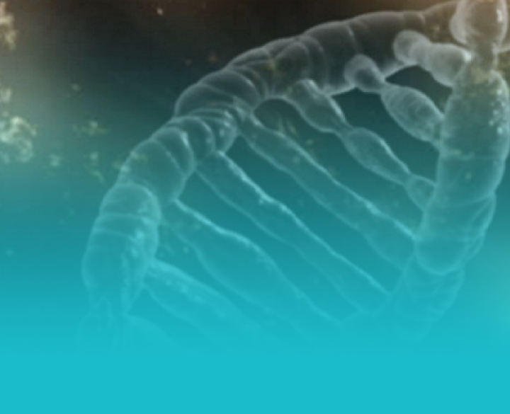 Medical and Sustainable Materials