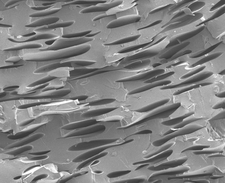 elongated air bubbels